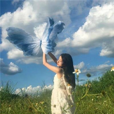 摇滚藏獒:乘风破浪